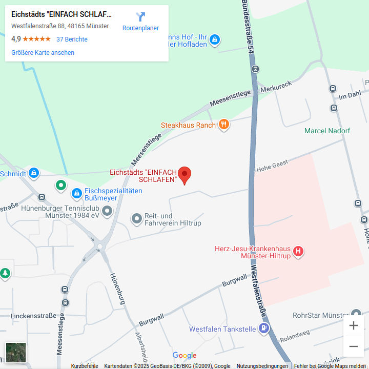 Google-Maps-Standort Eichstädts Münster